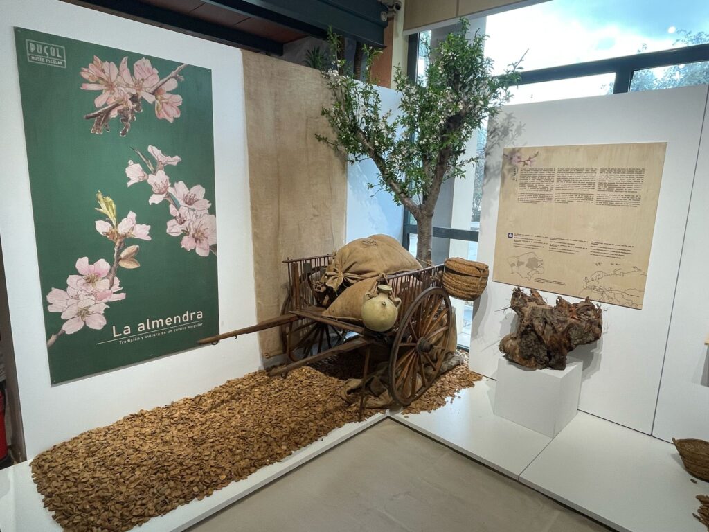 exposicion-la-almendra