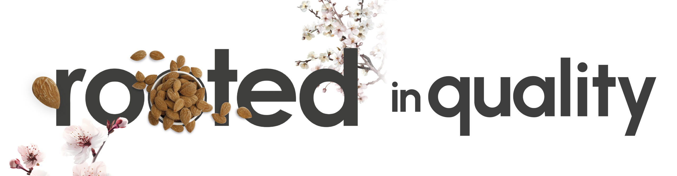 Manolet Gulfood 2026