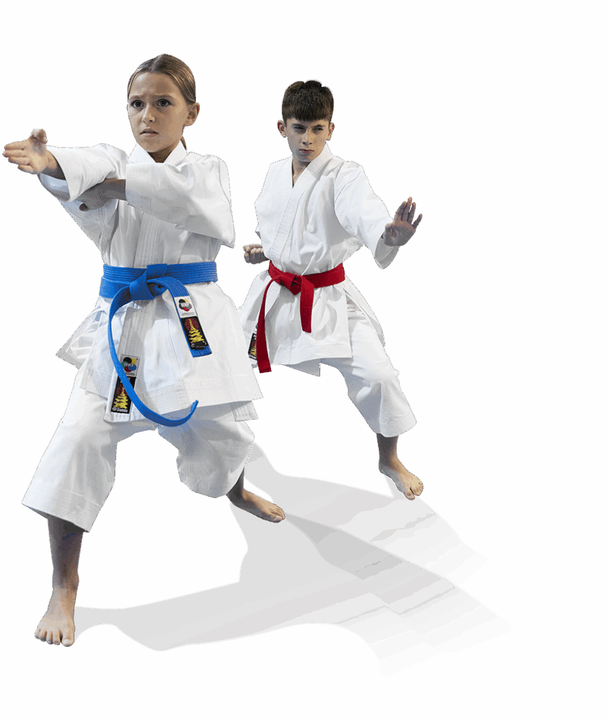 Environmental social governance