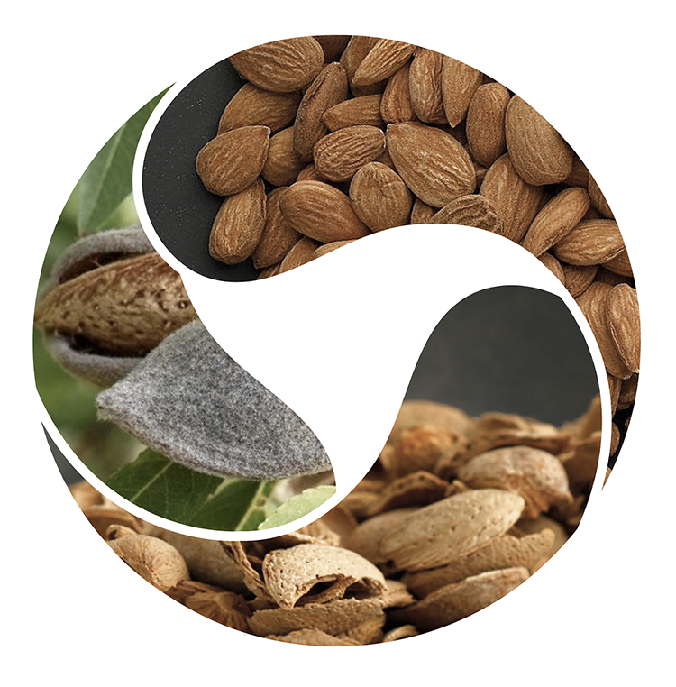 Environmental social governance