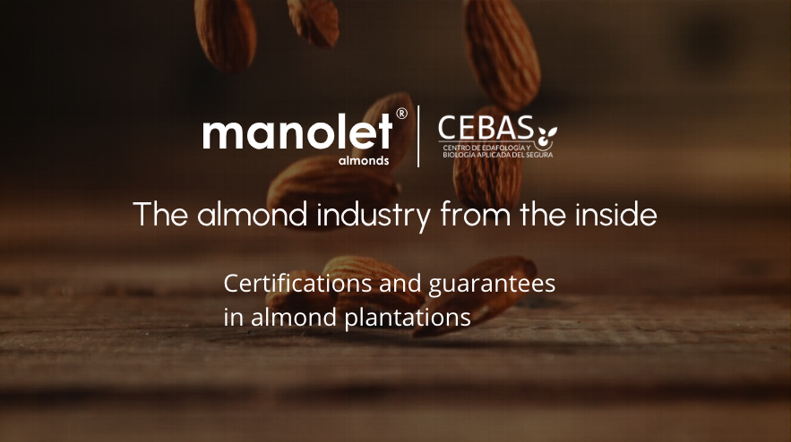 Manuel Rubio Interview - Manolet Almonds
