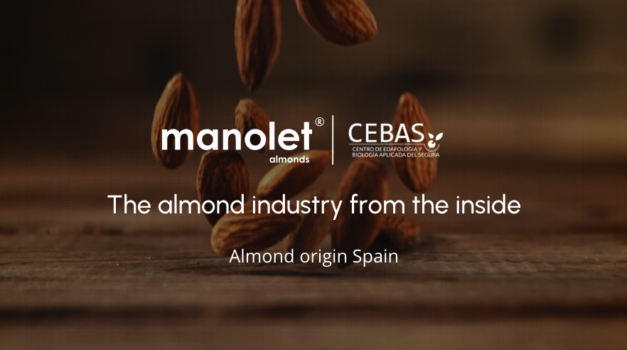 Interview with Federico Dicenta - Manolet Almonds