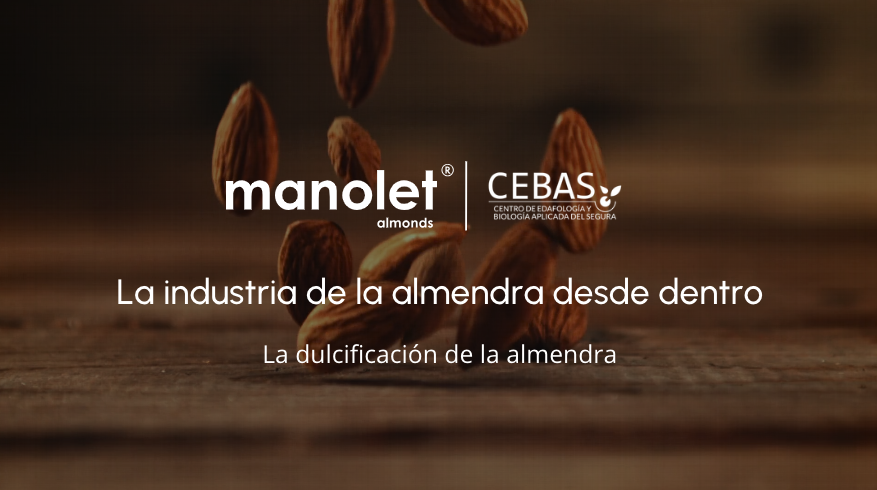 Entrevista a Raquel Sánchez - Manolet Almonds