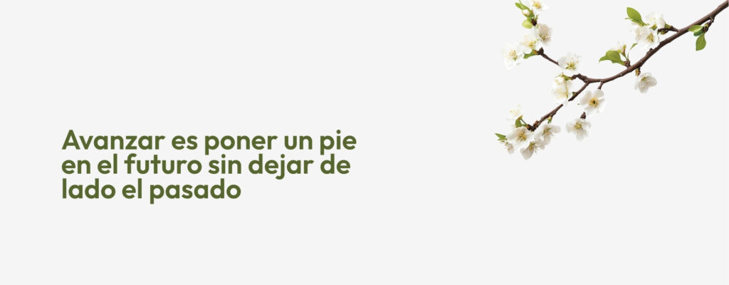 Identidad Visual Manolet Almonds